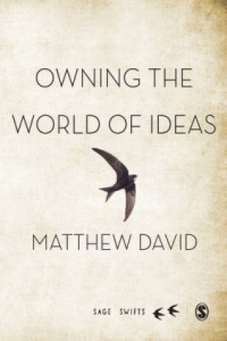 Carte Owning the World of Ideas Matthew David & Debora Halbert
