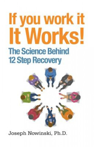 Book If You Work It, It Works Joseph Nowinski