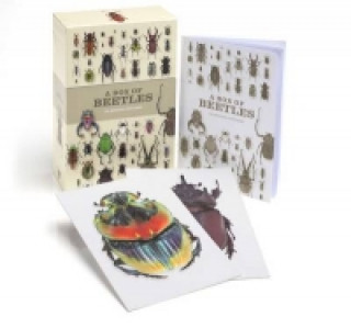 Joc / Jucărie Box of Beetles Patrice Bouchard