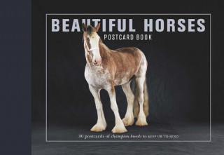 Książka Beautiful Horses Postcard Book Andrew Perris