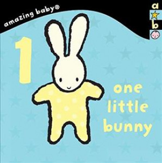 Könyv 1 Little Bunny Emma Dodd