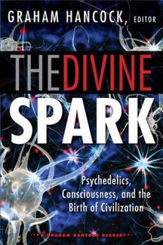 Kniha Divine Spark: a Graham Hancock Reader Graham Hancock