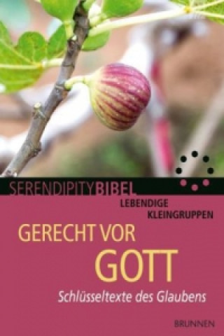 Libro Gerecht vor Gott Siegbert Riecker