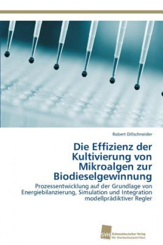 Kniha Effizienz der Kultivierung von Mikroalgen zur Biodieselgewinnung Dillschneider Robert