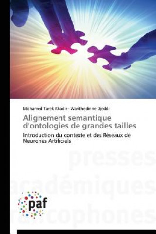 Carte Alignement Semantique d'Ontologies de Grandes Tailles 