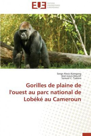 Carte Gorilles de Plaine de l'Ouest Au Parc National de Lob k  Au Cameroun 