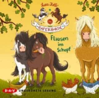 Audio Die Haferhorde - Flausen im Schopf, 2 Audio-CD Suza Kolb