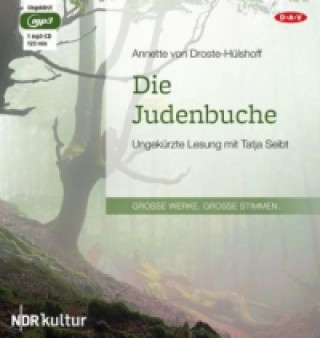 Audio Die Judenbuche, 1 Audio-CD, 1 MP3 Annette von Droste-Hülshoff