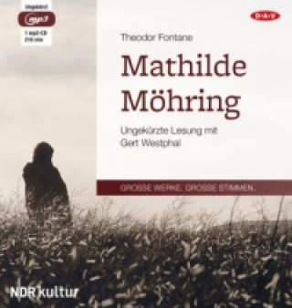 Audio Mathilde Möhring, 1 Audio-CD, 1 MP3 Theodor Fontane