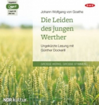 Аудио Die Leiden des jungen Werther, 1 Audio-CD, 1 MP3 Johann Wolfgang von Goethe