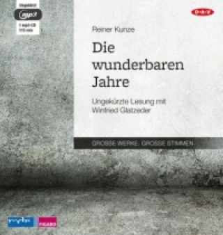 Audio Die wunderbaren Jahre, 1 Audio-CD, 1 MP3 Reiner Kunze