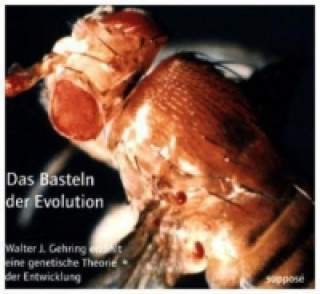 Audio Das Basteln der Evolution, 2 Audio-CDs Walter Gehring