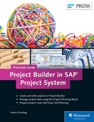 Knjiga Project Builder in SAP Project System-Practical Guide Kieron Dowling