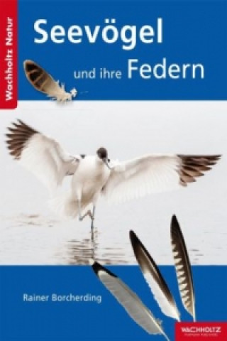 Kniha Seevögel und ihre Federn Rainer Borcherding