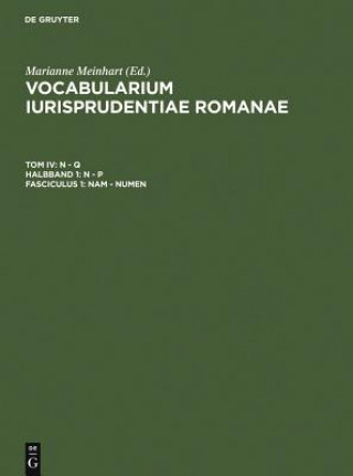 Książka Nam - Numen Marianne Meinhart