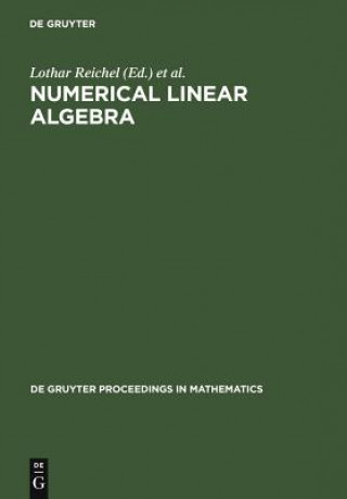 Könyv Numerical Linear Algebra Lothar Reichel