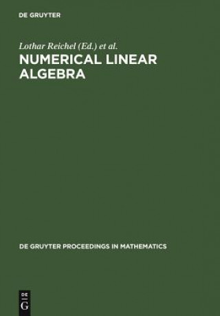 Buch Numerical Linear Algebra Lothar Reichel