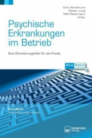 Kniha Psychische Erkrankungen im Betrieb Dirk Windemuth