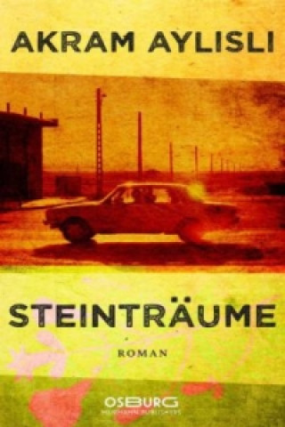 Buch Steinträume Akram Aylisli