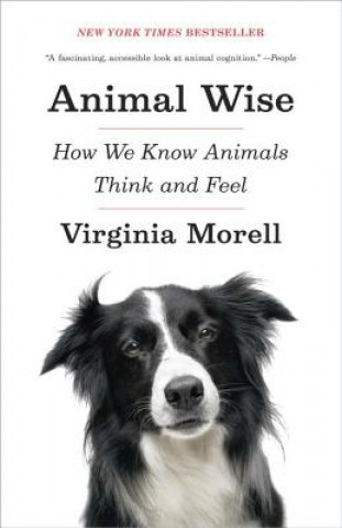 Knjiga Animal Wise Virginia Morell