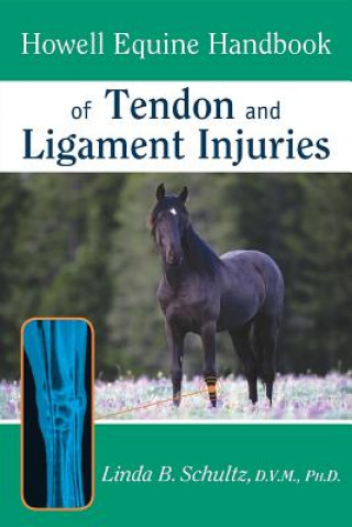 Carte Howell Equine Handbook of Tendon and Ligament Injuries Schultz