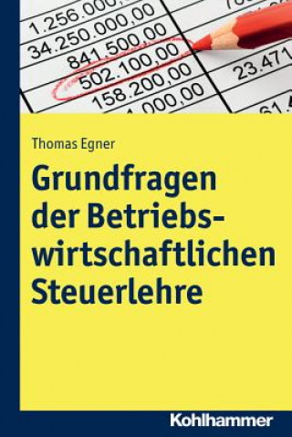 Kniha Grundlagen einer entscheidungsorientierten Steuerlehre Thomas Egner