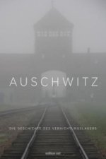 Carte Auschwitz Susanne Willems