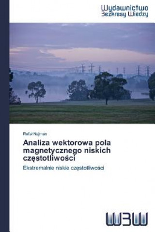 Könyv Analiza wektorowa pola magnetycznego niskich cz&#281;stotliwo&#347;ci Najman Rafal