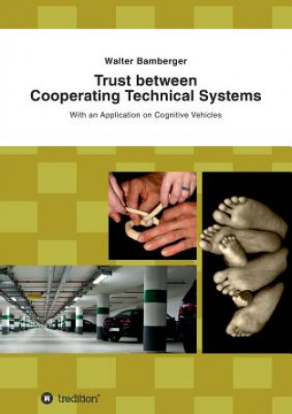 Könyv Trust between Cooperating Technical Systems Walter Bamberger