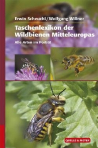 Kniha Taschenlexikon der Wildbienen Mitteleuropas Erwin Scheuchl