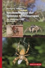 Kniha Taschenlexikon der Spinnen Mitteleuropas Wolfgang Willner
