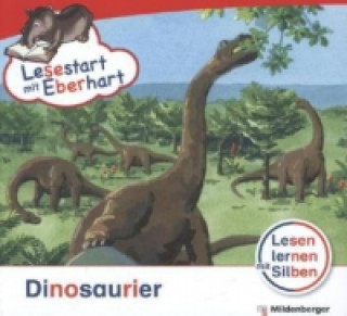 Książka Dinosaurier Stefanie Drecktrah