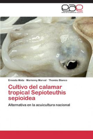 Kniha Cultivo del calamar tropical Sepioteuthis sepioidea Mata Ernesto