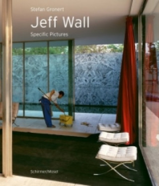 Kniha Jeff Wall. Specific Pictures Stefan Gronert