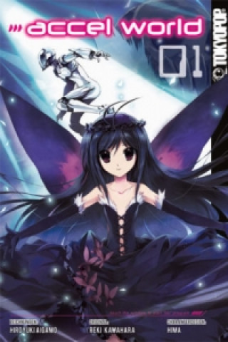 Kniha Accel World. Bd.1 Reki Kawahara