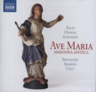 Audio Ave Maria, 1 Audio-CD Various