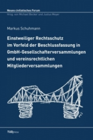 Kniha Einstweiliger Rechtsschutz im Vorfeld der Beschlussfassung in GmbH-Gesellschafterversammlungen und vereinsrechtlichen Mitgliederversammlungen Marko Schuhmann