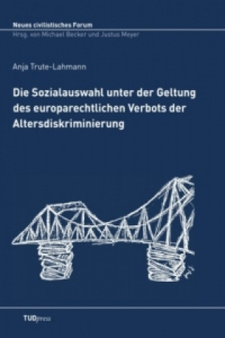 Książka Die Sozialauswahl unter der Geltung des europarechtlichen Verbots der Altersdiskriminierung Anja Trute-Lahmann