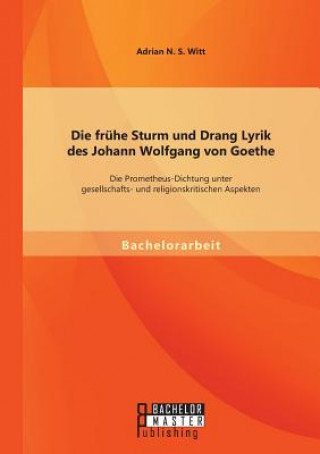 Kniha fruhe Sturm und Drang Lyrik des Johann Wolfgang von Goethe Adrian N S Witt