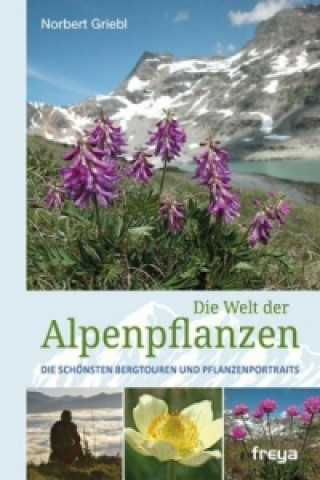 Kniha Alpenpflanzen Norbert Griebl