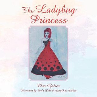 Livro Ladybug Princess Elsa Galica