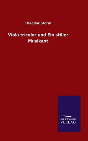 Könyv Viola tricolor und Ein stiller Musikant Theodor Storm