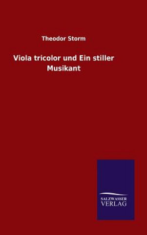 Buch Viola tricolor und Ein stiller Musikant Theodor Storm