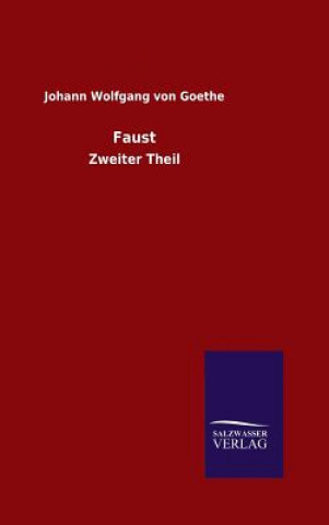 Buch Faust Johann Wolfgang Von Goethe