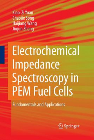 Könyv Electrochemical Impedance Spectroscopy in PEM Fuel Cells Wang