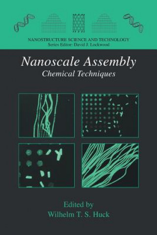 Boek Nanoscale Assembly Wilhelm T. S. Huck