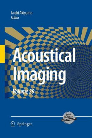 Carte Acoustical Imaging Iwaki Akiyama