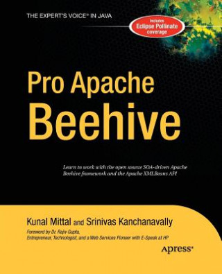 Könyv Pro Apache Beehive Kunal Mittal