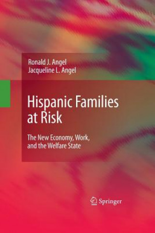 Kniha Hispanic Families at Risk Jacqueline L Angel