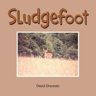 Kniha Sludgefoot David Drennan